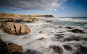 carnivan bay